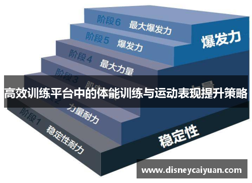 高效训练平台中的体能训练与运动表现提升策略